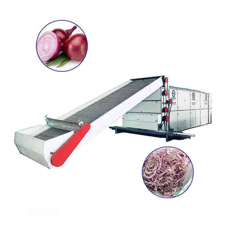 onion continuous mesh belt dryer